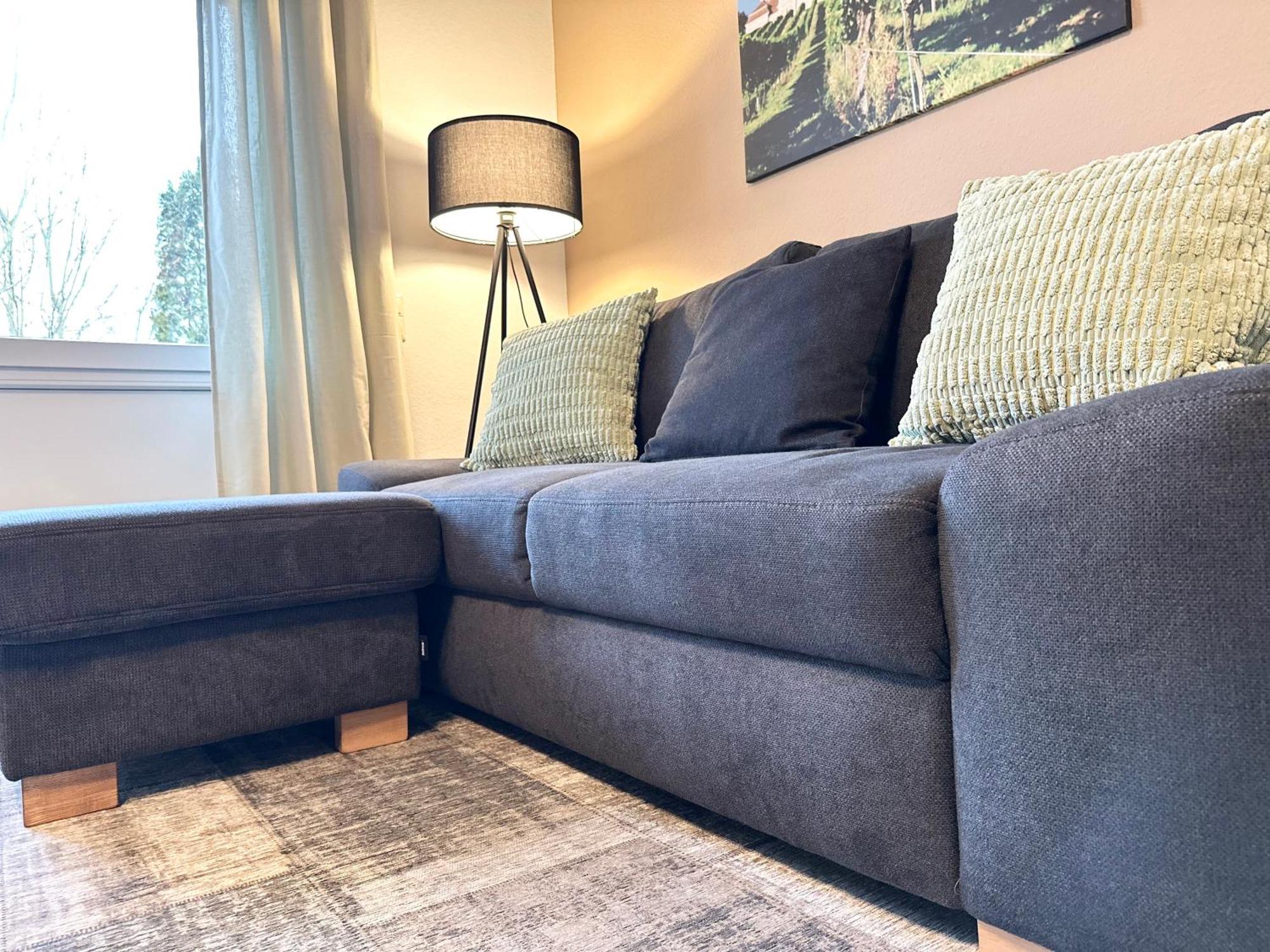 Seehaus Aachblick, Exklusive Appartements Und Ferienwohnungen 울딘겐물호펜 외부 사진